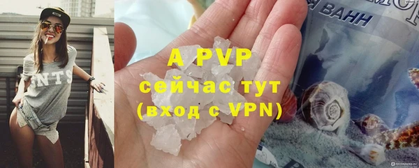 ГАЛЛЮЦИНОГЕННЫЕ ГРИБЫ Зеленодольск