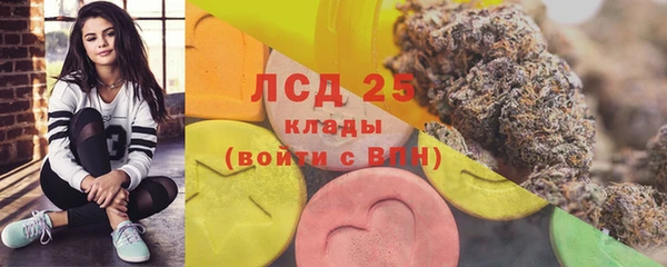 ГАЛЛЮЦИНОГЕННЫЕ ГРИБЫ Зеленодольск