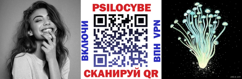 Купить закладки  Шагонар  Псилоцибиновые грибы Psilocybe 
