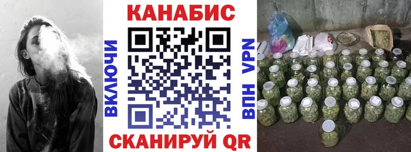 Марихуана сатива  Купить закладки  Шагонар 